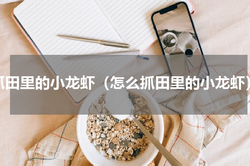 抓田里的小龙虾（怎么抓田里的小龙虾）
