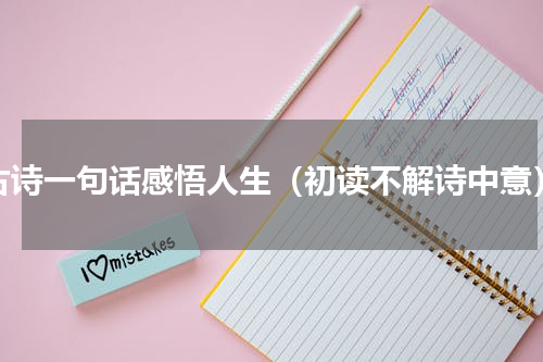 古诗一句话感悟人生（初读不解诗中意）