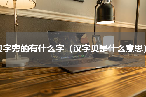 贝字旁的有什么字（汉字贝是什么意思）