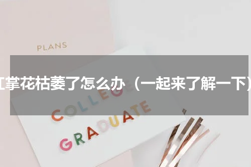 红掌花枯萎了怎么办（一起来了解一下）