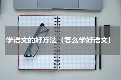学语文的好方法（怎么学好语文）