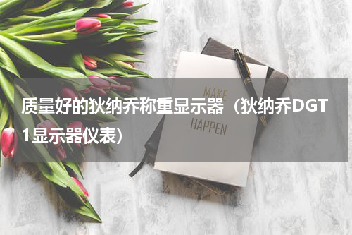 质量好的狄纳乔称重显示器（狄纳乔DGT1显示器仪表）
