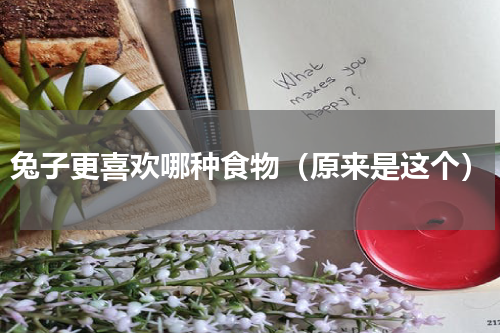 兔子更喜欢哪种食物（原来是这个）