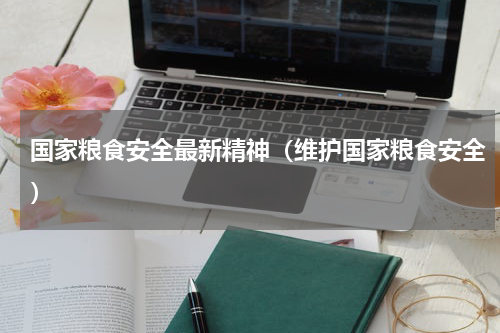 国家粮食安全最新精神（维护国家粮食安全）