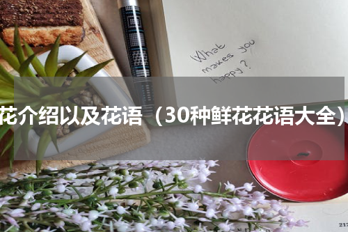 鲜花介绍以及花语（30种鲜花花语大全）