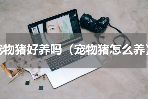 宠物猪好养吗（宠物猪怎么养）