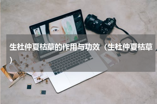 生杜仲夏枯草的作用与功效（生杜仲夏枯草）