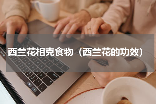 西兰花相克食物（西兰花的功效）