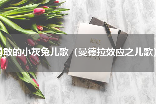 勇敢的小灰兔儿歌（曼德拉效应之儿歌）