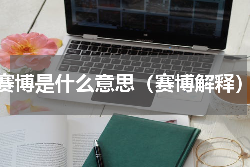 赛博是什么意思（赛博解释）