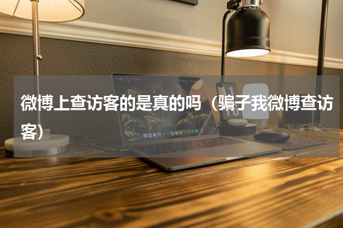 微博上查访客的是真的吗（骗子我微博查访客）