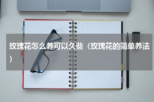玫瑰花怎么养可以久些（玫瑰花的简单养法）
