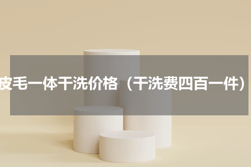 皮毛一体干洗价格（干洗费四百一件）