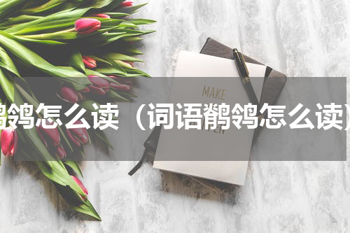 鹡鸰怎么读（词语鹡鸰怎么读）