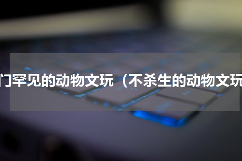 冷门罕见的动物文玩（不杀生的动物文玩）
