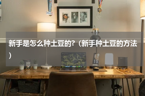 新手是怎么种土豆的?（新手种土豆的方法）