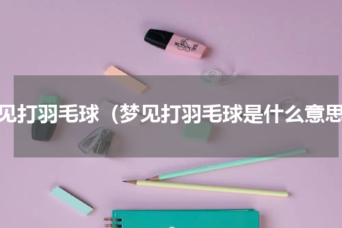 梦见打羽毛球（梦见打羽毛球是什么意思）