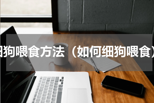 细狗喂食方法（如何细狗喂食）