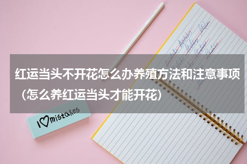 红运当头不开花怎么办养殖方法和注意事项（怎么养红运当头才能开花）