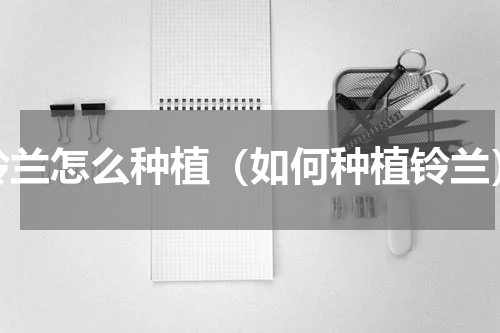 铃兰怎么种植（如何种植铃兰）
