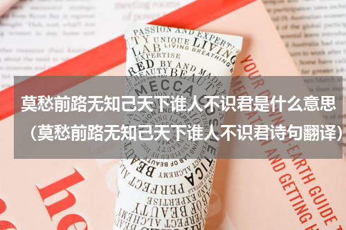 莫愁前路无知己天下谁人不识君是什么意思（莫愁前路无知己天下谁人不识君诗句翻译）