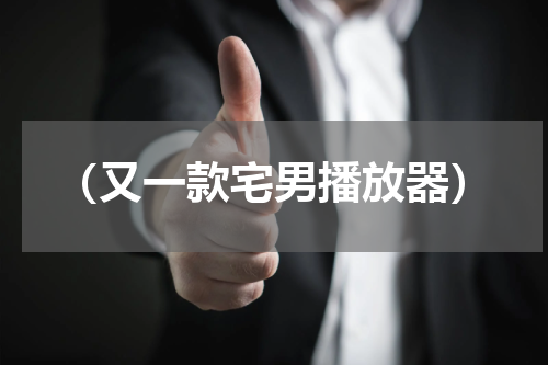 （又一款宅男播放器）
