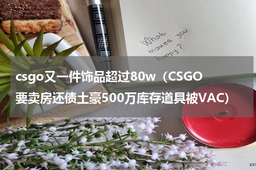 csgo又一件饰品超过80w（CSGO要卖房还债土豪500万库存道具被VAC）