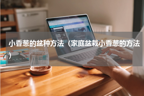 小香葱的盆种方法（家庭盆栽小香葱的方法）