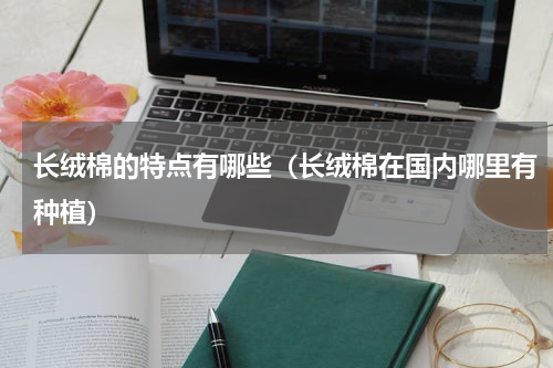 长绒棉的特点有哪些（长绒棉在国内哪里有种植）