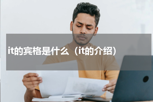it的宾格是什么（it的介绍）