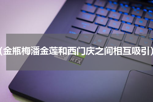 （金瓶梅潘金莲和西门庆之间相互吸引）