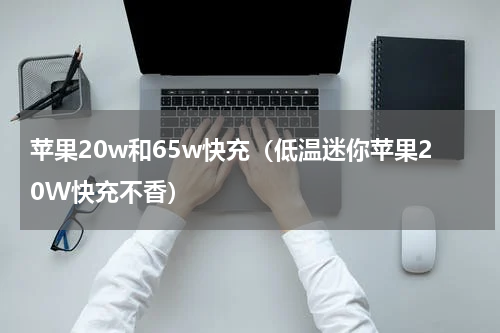 苹果20w和65w快充（低温迷你苹果20W快充不香）