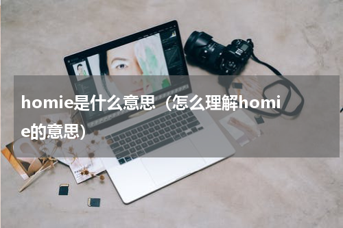 homie是什么意思（怎么理解homie的意思）