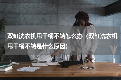 双缸洗衣机甩干桶不转怎么办（双缸洗衣机甩干桶不转是什么原因）
