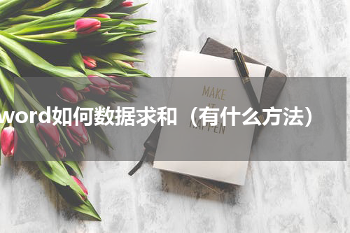 word如何数据求和（有什么方法）