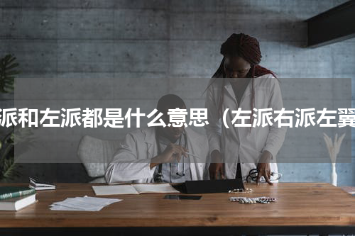 右派和左派都是什么意思（左派右派左翼）