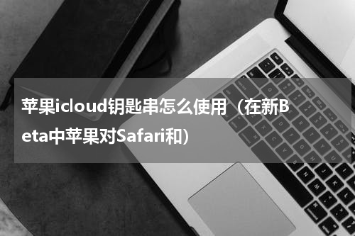 苹果icloud钥匙串怎么使用（在新Beta中苹果对Safari和）