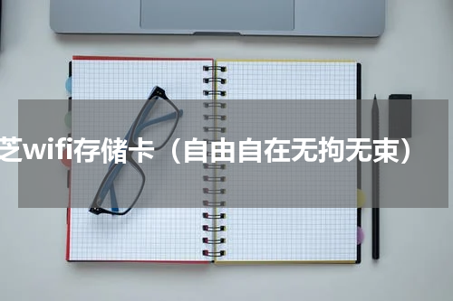 东芝wifi存储卡（自由自在无拘无束）