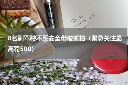 8名副驾驶不系安全带被抓拍（紧急关注最高罚500）