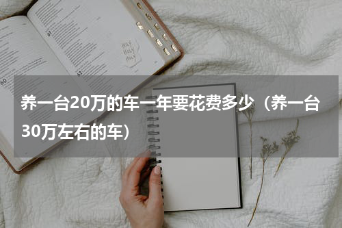 养一台20万的车一年要花费多少（养一台30万左右的车）