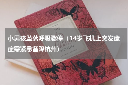 小男孩坠落呼吸骤停（14岁飞机上突发癔症需紧急备降杭州）