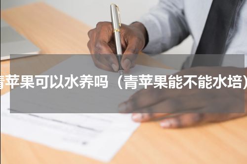 青苹果可以水养吗（青苹果能不能水培）