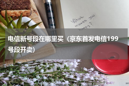 电信新号段在哪里买（京东首发电信199号段开卖）