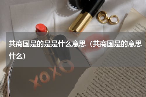 共商国是的是是什么意思（共商国是的意思什么）