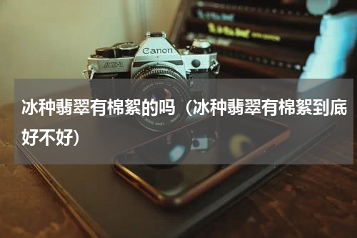 冰种翡翠有棉絮的吗（冰种翡翠有棉絮到底好不好）