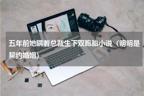 五年前她瞒着总裁生下双胞胎小说（明明是契约婚姻）
