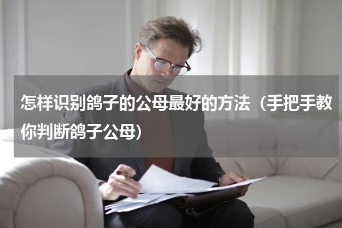 怎样识别鸽子的公母最好的方法（手把手教你判断鸽子公母）