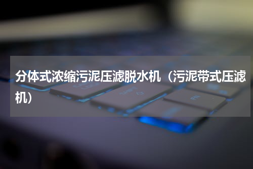 分体式浓缩污泥压滤脱水机（污泥带式压滤机）