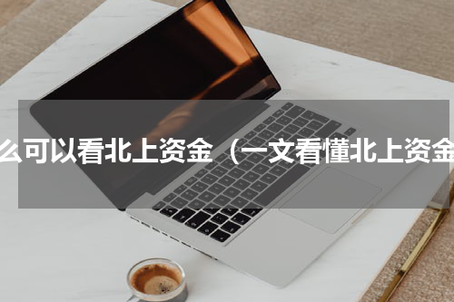 怎么可以看北上资金（一文看懂北上资金）