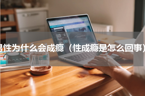 男性为什么会成瘾（性成瘾是怎么回事）